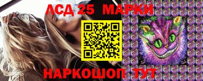 гидра Новодвинск