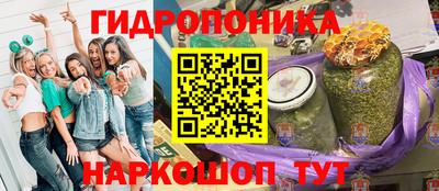 стаф Новозыбков